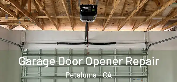  Garage Door Opener Repair Petaluma - CA
