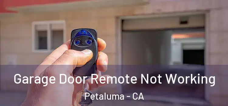  Garage Door Remote Not Working Petaluma - CA