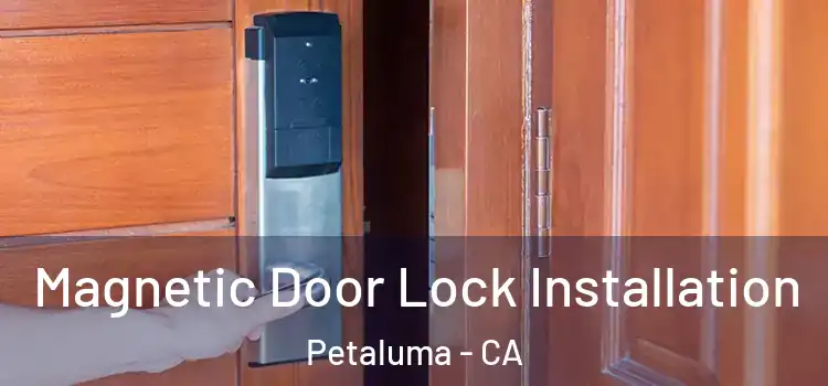  Magnetic Door Lock Installation Petaluma - CA